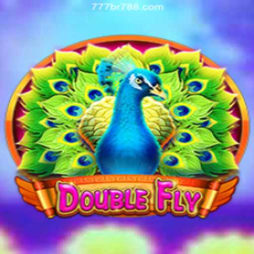 Discover the Exciting World of DoubleFly on BR 788